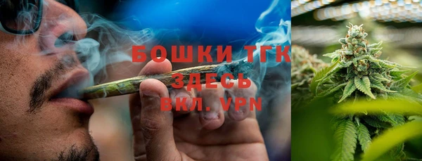 шишки Горнозаводск