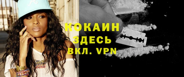 шишки Горнозаводск