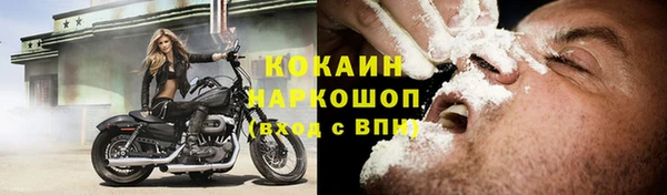 шишки Горнозаводск