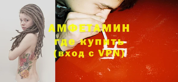 шишки Горно-Алтайск