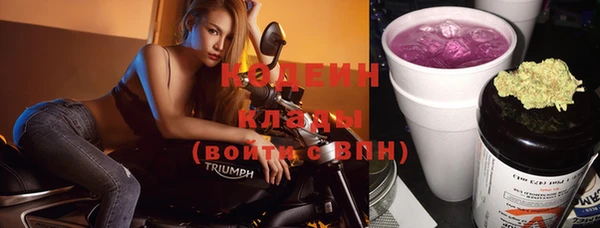 шишки Горно-Алтайск