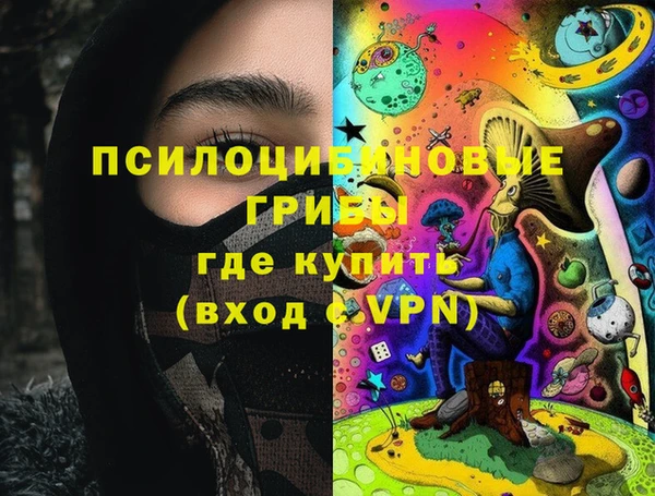 амф Гусиноозёрск