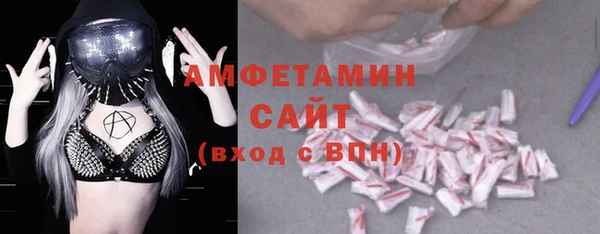 шишки Горно-Алтайск