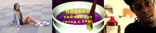 шишки Горно-Алтайск
