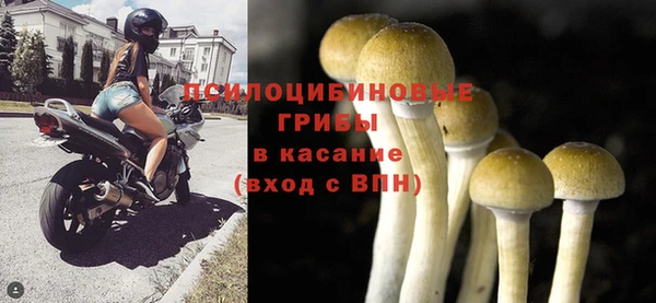 mdma Горняк