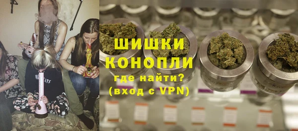 шишки Горно-Алтайск