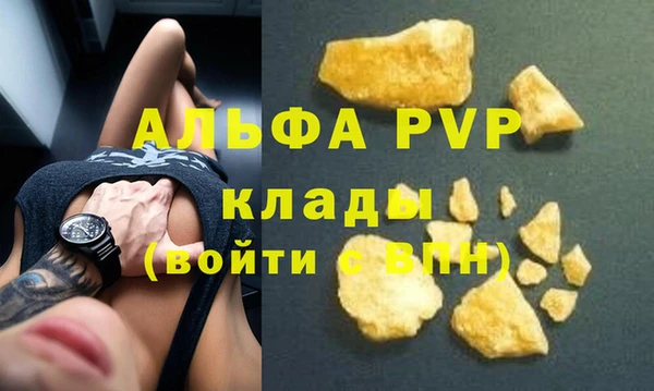 шишки Горно-Алтайск