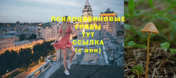 шишки Горно-Алтайск