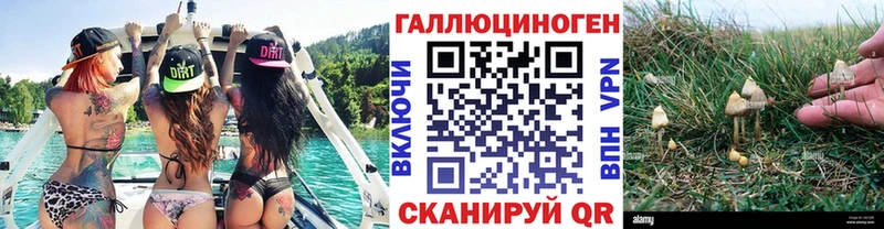 Галлюциногенные грибы мухоморы  как найти   Дудинка 